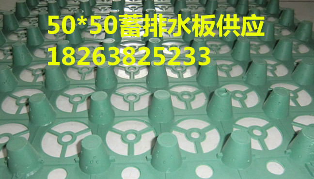 新闻联播%朔州市3公分排水板公司】厂家==型号全