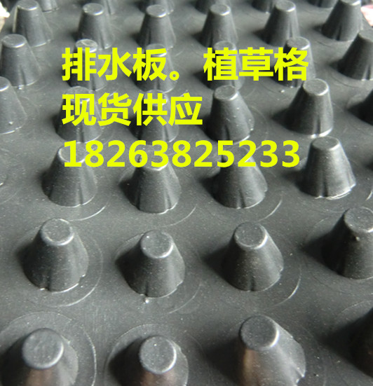 新闻联播%运城3公分排水板供应电话--型号全