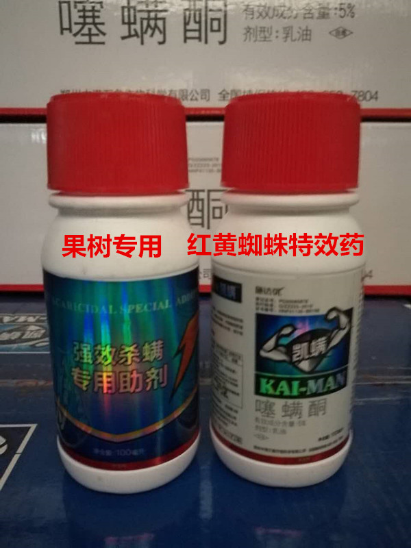 橘子樹頑固性紅蜘蛛專用殺螨劑銹壁虱蟲卵兼滅原廠生產