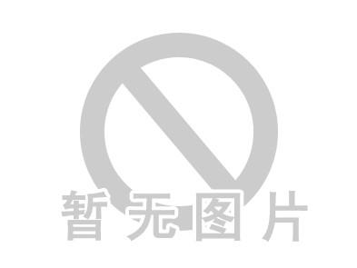 防爆自吸泵