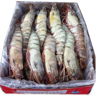 凍魚和鮮活海鮮在青島進口報關