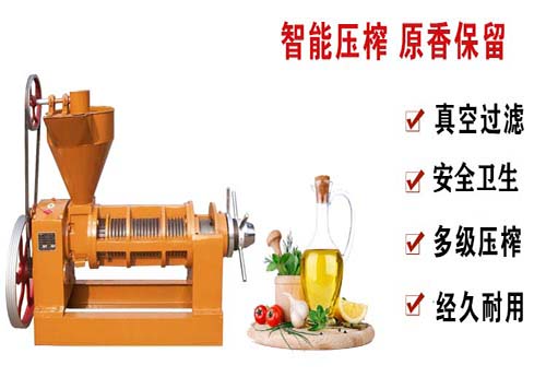 河南东盈80型小型榨油机设备