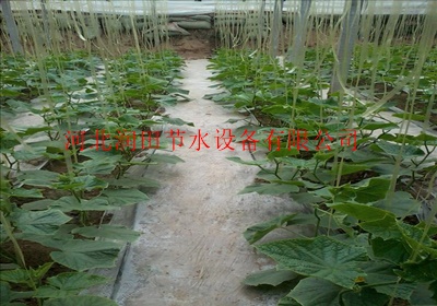 邢台草莓滴灌技术介绍 各类管材管件设备生产批发