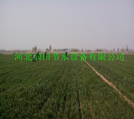 微喷带价格 微喷带生产厂家