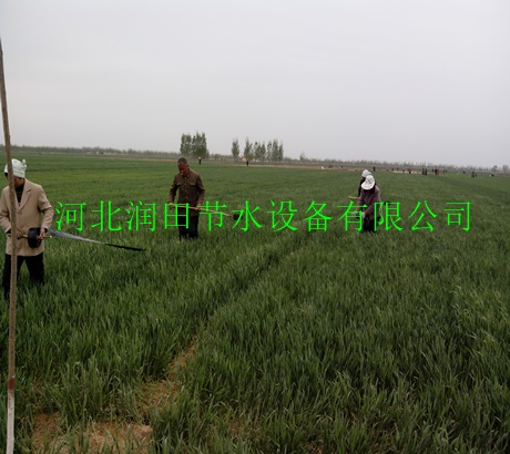 N65微喷带 微喷带生产厂家