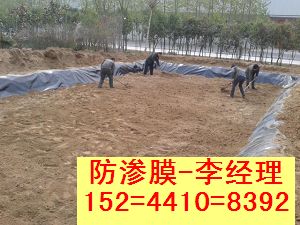 公司专业生产藕池防渗膜+鱼塘防渗膜+虾池防渗膜价格