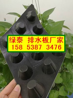 岳阳3公分蓄排水板⊙车库绿化透水板-规格齐全