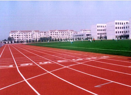 东莞塑胶跑道材料 东莞塑胶跑道材料价格 世名供