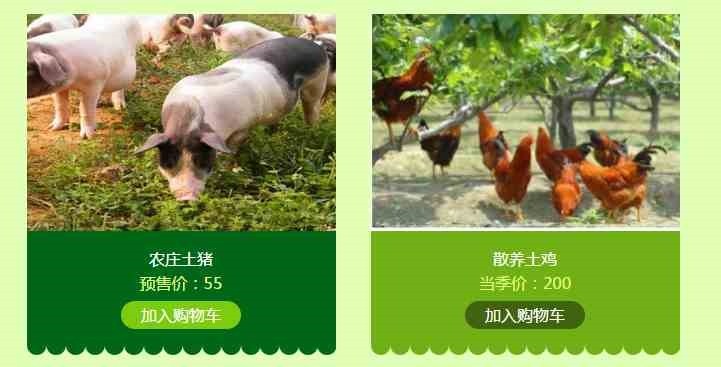 培馨农庄土鸡让您放心省心,培馨农庄上海土鸡批发值得信赖