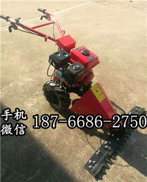 云南红河多功能园林专用剪草机 手推汽油草坪修剪机 1200型割草机 剪草高度80mm