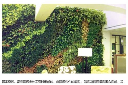 绍兴室内墙体绿化植物存活多久，上海绿浏供告诉您