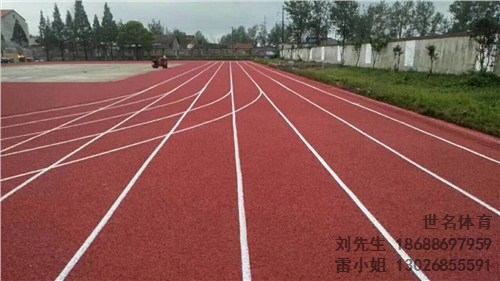 赣州塑胶跑道材料 赣州塑胶跑道工程材料 世名供