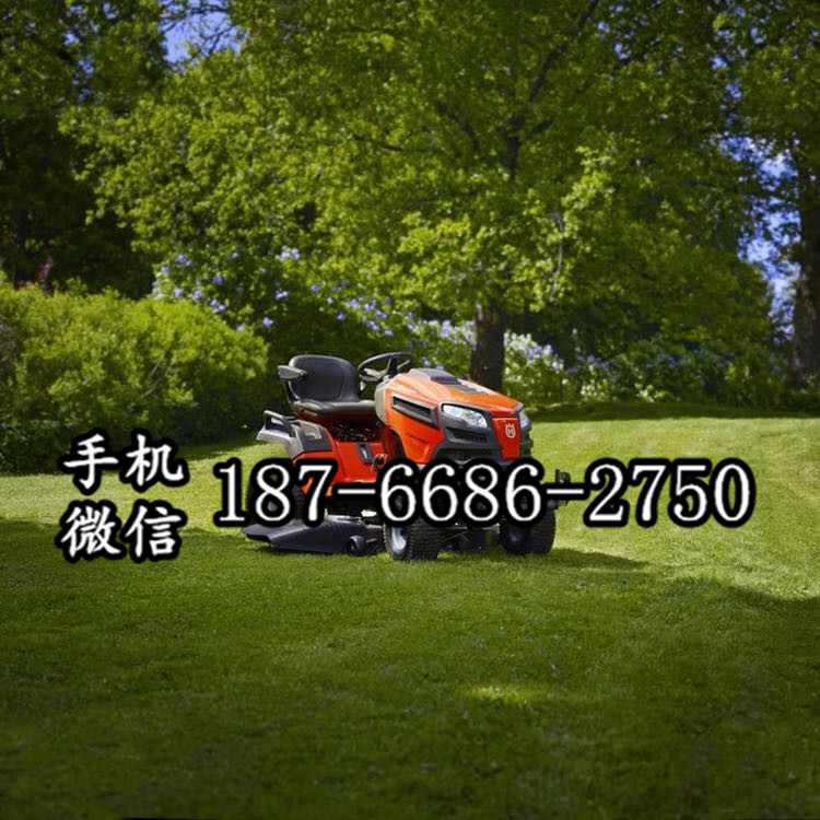 江苏南京座驾式割草机 进口汽油机骑乘式割草机 踏板式驾驶式割草机