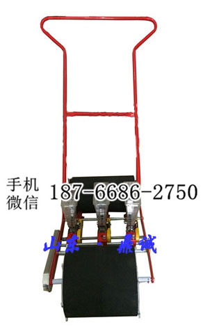 山东潍坊小型 多功能手推式播种机 点播条播两行蔬菜播种机 深度宽度可调的农业种植机