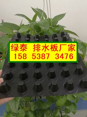 赣州地下车库疏水板∠抗穿刺排水板15853873476