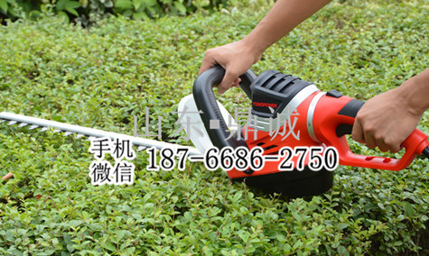 江苏南京纯铜线电机5126型电动修剪机 树枝修剪机 手持式果树绿篱剪枝机