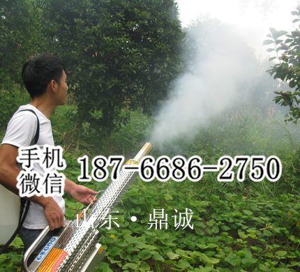 江西九江新款脉冲式消毒弥雾机 大棚专用烟雾机 蔬菜果树专用杀虫喷洒机 省水省药