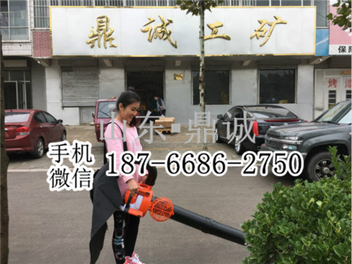 甘肃武威手提便携汽油吹吸机 园林落叶粉碎机 真空吹吸机 多功能吸叶机 吹风