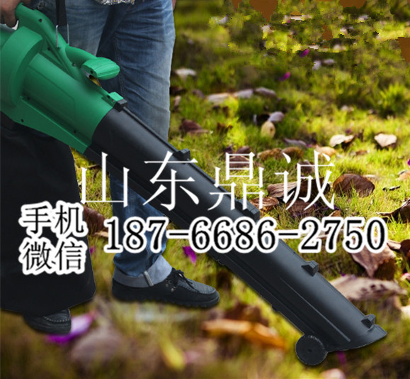 福建龙岩大功率3千瓦电动吹吸叶一体机 树叶粉碎机 便携式园林工具