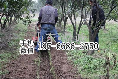 甘肃酒泉汽油动力果园开沟机 多功能田园管理机 农用培土起拱机