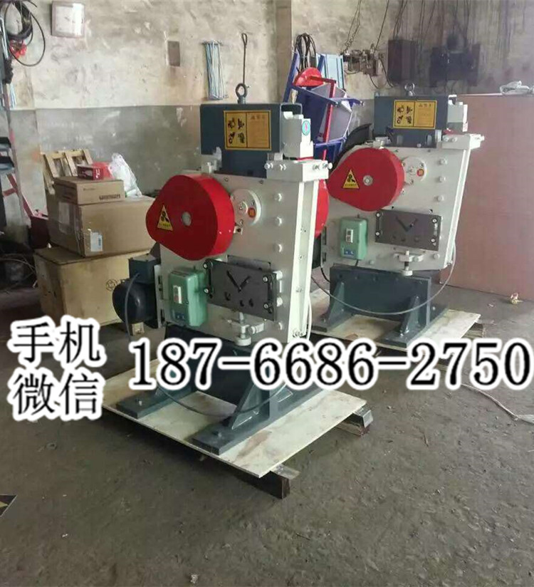 广西玉林小型电动冲剪机 角钢联合剪切机 多功能剪切机锻压成型机
