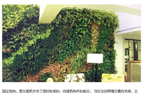 杭州餐厅垂直绿化效果怎样，上海绿浏您给您专业的回答