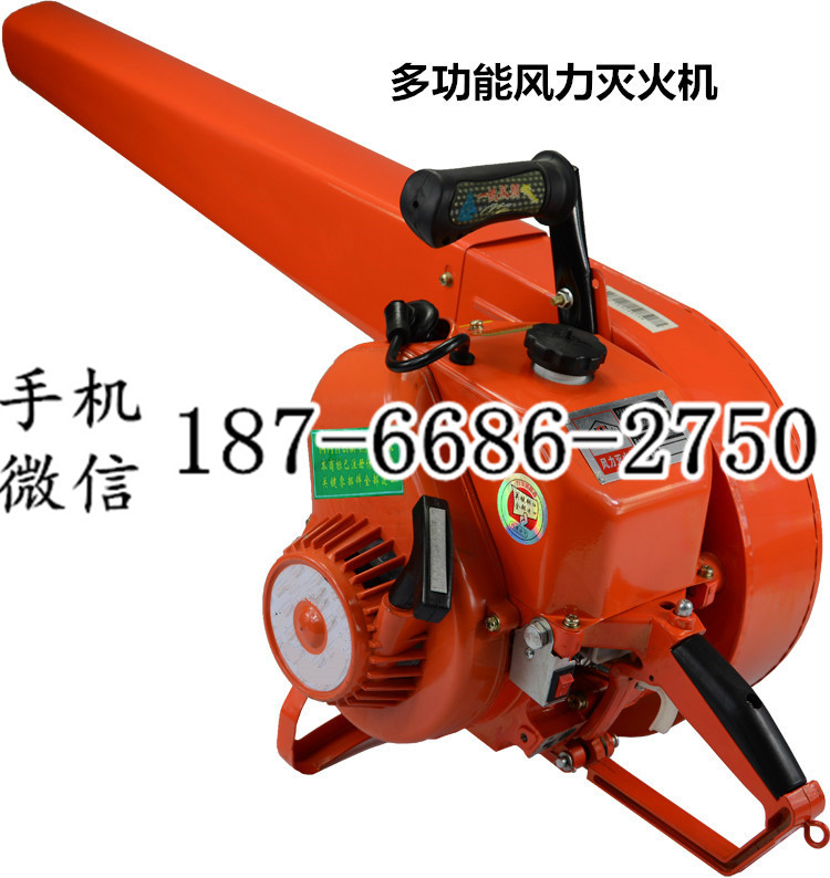 广西钦州人性化设计手提小型大功率风力灭火机 便携式汽油消防灭火器