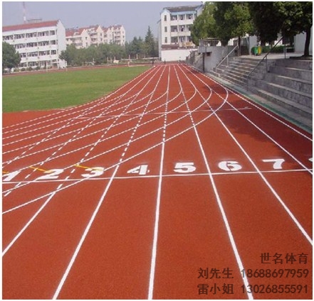 娄底塑胶跑道 娄底塑胶跑道材料 娄底塑胶跑道厂家 世名供