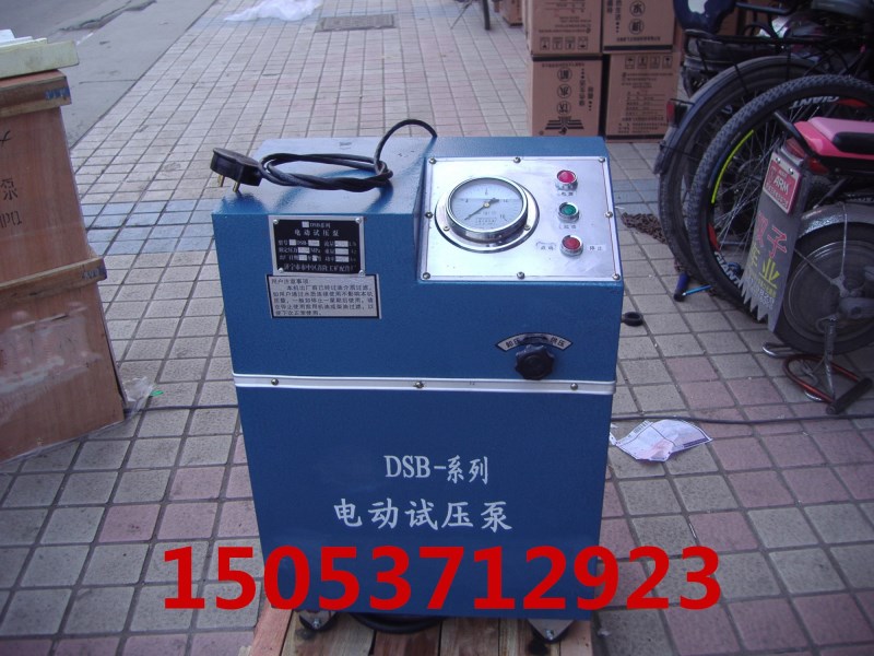 6DSB电动试压泵  电动试压泵型号