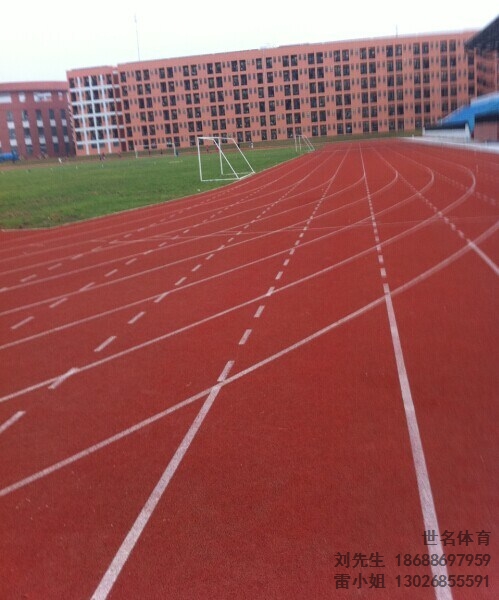 南昌塑胶跑道 南昌塑胶跑道材料 南昌塑胶跑道工程 世名供