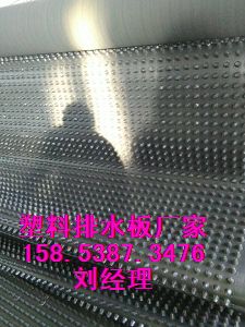 厂家货源-宝鸡H20蓄排水板√地库顶板疏水板