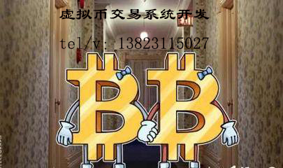 虚拟币币币交易平台开发虚拟币c2c交易系统网站搭建