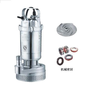 Q(D)X-S全不锈钢精密铸造小型潜水电泵