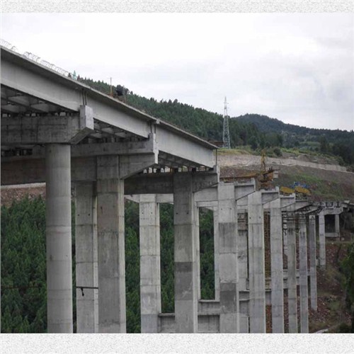 福建支座灌浆 福建支座灌浆供应价 盛兴源供