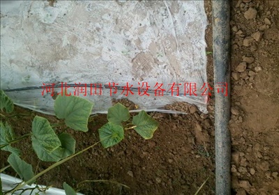 廊坊大棚滴灌设备生产厂家 润田牌滴灌带质量好信誉有保证