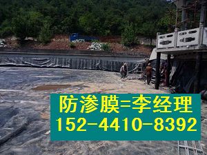 10米宽8米宽6米宽藕池防渗膜+鱼塘防渗膜厂家