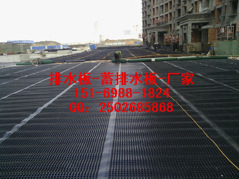 广东2.5公分3公分1.6公分车库蓄排水板【推荐厂家】