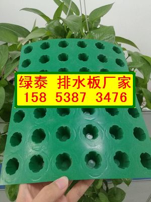 生产供应%太原车库顶板绿化排水板15853873476