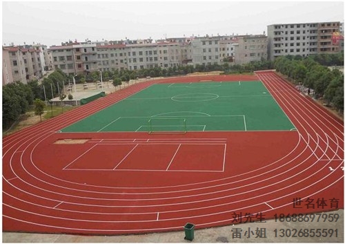 岳阳塑胶跑道材料 岳阳塑胶跑道施工材料 世名供