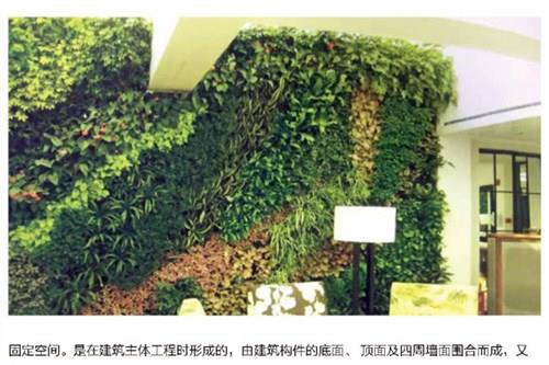 上海室内墙体绿化施工质量，上海绿浏告诉您