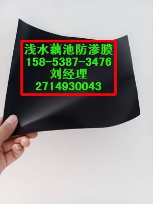 供应鹤壁】莲藕种植防渗膜%藕塘防穿刺膜