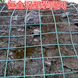 绿化植物攀爬网β山林种植攀爬网β山坡攀爬网