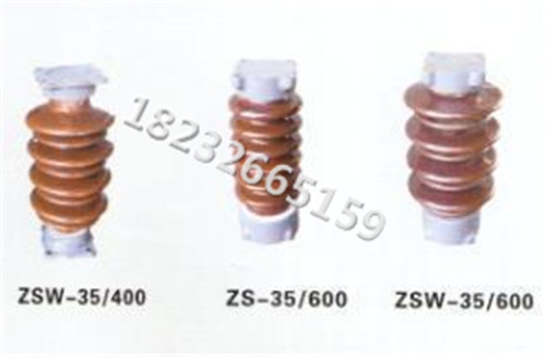 ZS-20/8 10-63KV户外棒形支柱绝缘子 欢迎询价