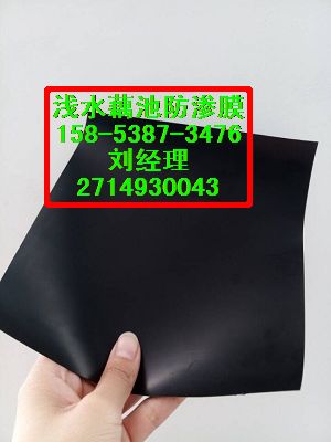 成都藕鳅混养防渗膜/蓄水池防渗布15853873476