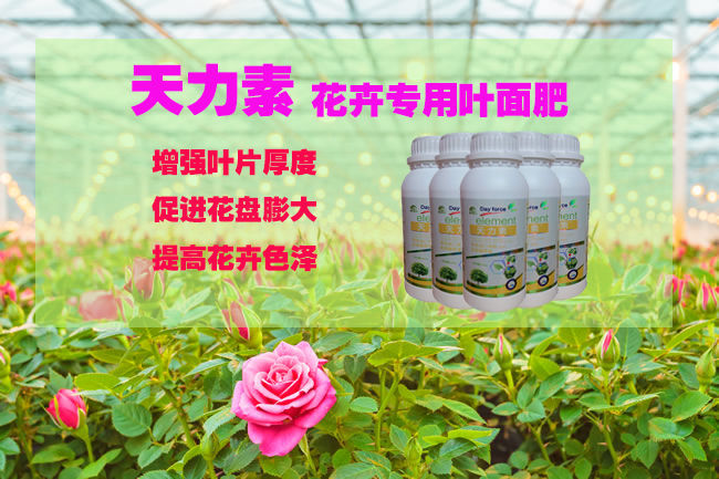 花卉营养叶面肥花卉叶面肥料好用花卉叶面肥