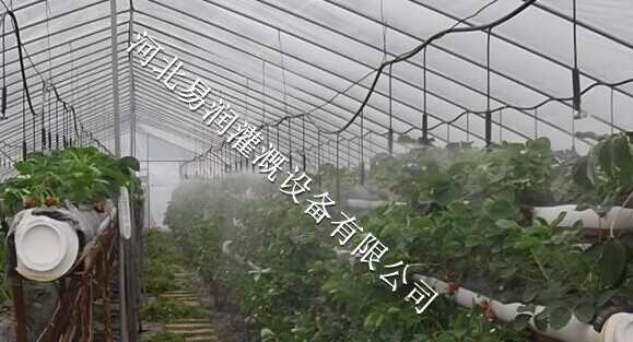 涿鹿县厂家专业定制 蘑菇专用微喷头现货