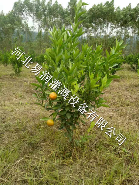 西陕县小管出流行情 滴灌稳流器厂家专业定制
