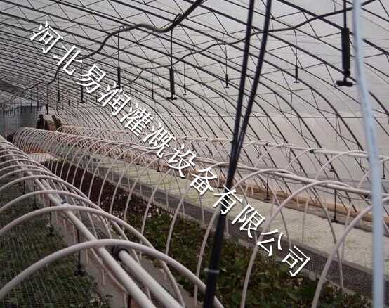 优质大棚微喷头批发 蘑菇灌溉喷水头供应商