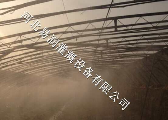 中药材微喷头精密制造 浙川县大棚微喷头现货