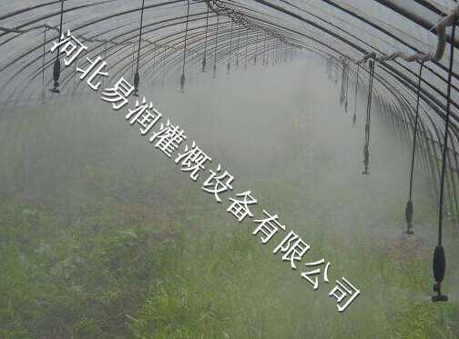 浙川县微喷头价格行情 中药材喷水头厂家直销